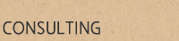 CONSULTING